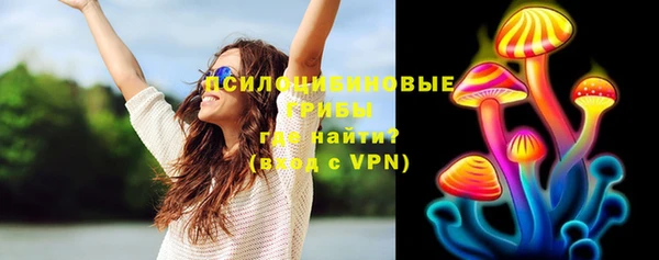 прущая мука Гусев