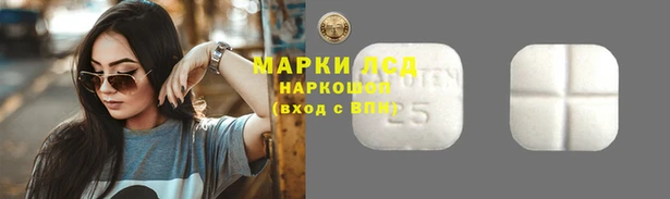 стаф Горнозаводск