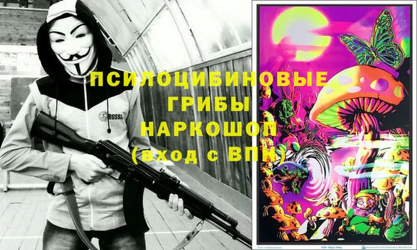 стаф Горнозаводск
