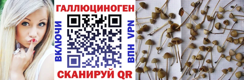 Галлюциногенные грибы мицелий  Купить закладки  Липки 